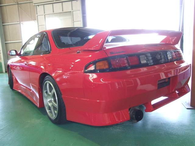 SILVIA KS.jpg